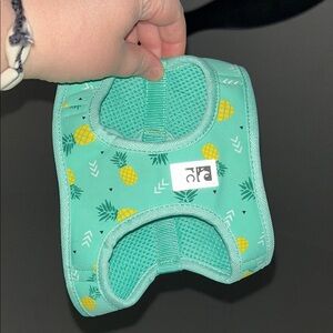 Tropical Pineapple Dog Harness - Teal